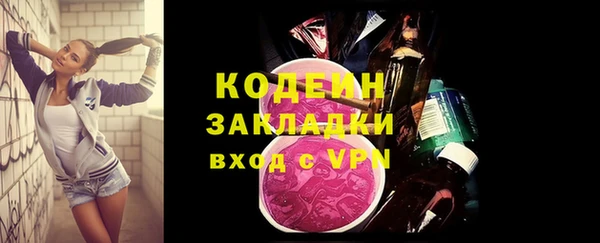 шишки Богородицк
