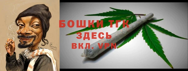 шишки Богородицк
