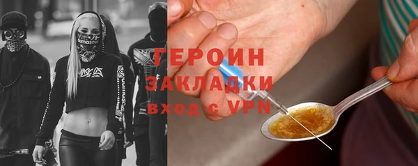 шишки Богородицк
