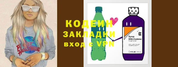 шишки Богородицк