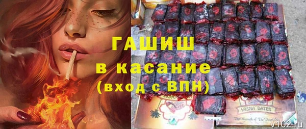 шишки Богородицк