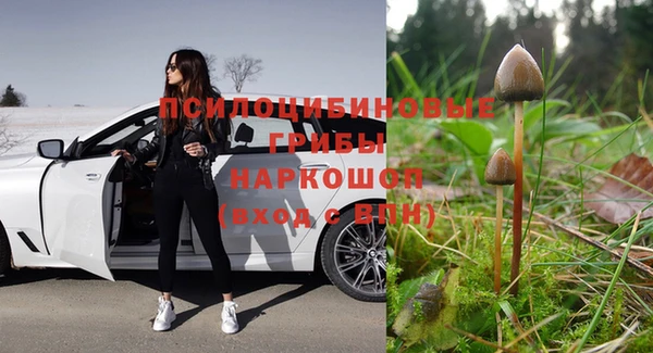 шишки Богородицк