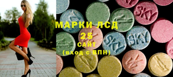шишки Богородицк