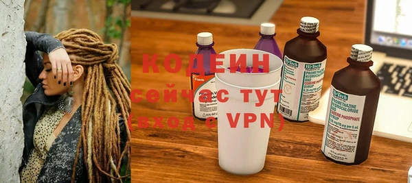 шишки Богородицк