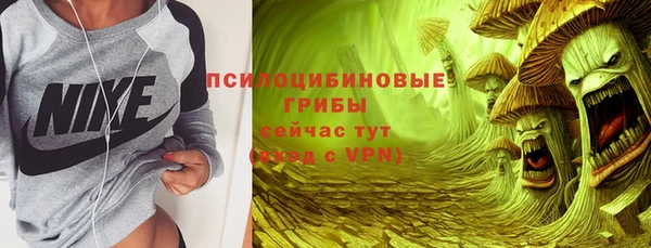a pvp Богородск