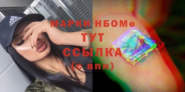 шишки Богородицк