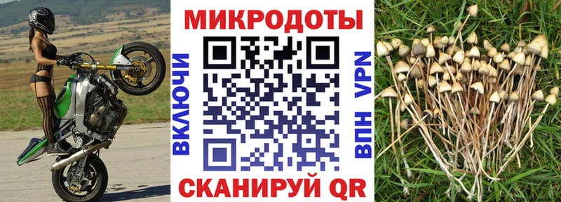 гидра   купить  сайты  Мышкин  Псилоцибиновые грибы ЛСД 